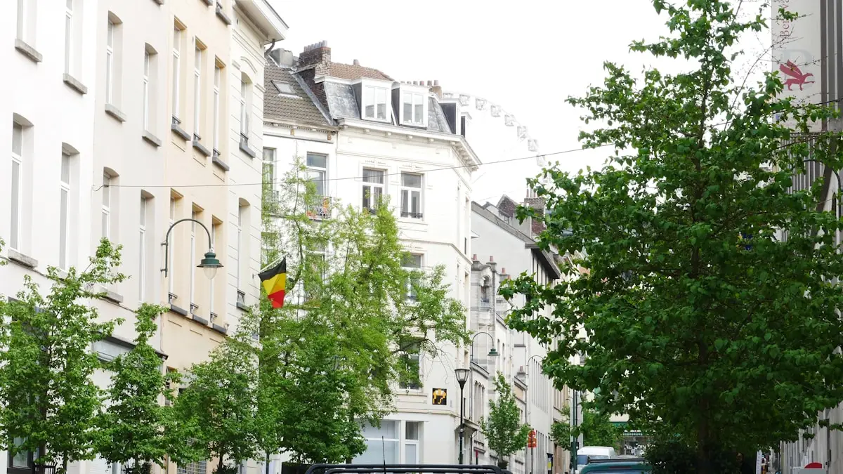 Rue de Bruxelles avec biens immobiliers à vendre